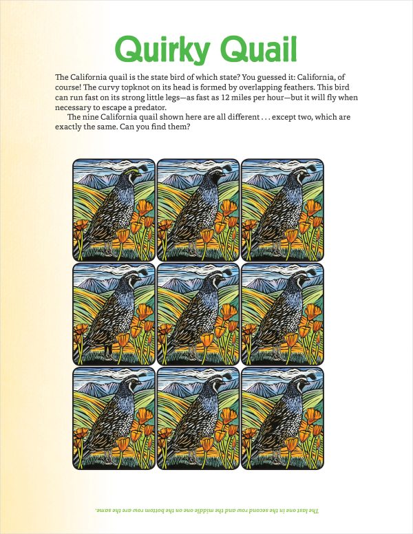Molly Hashimoto's Art & Nature Activity Book - Image 3