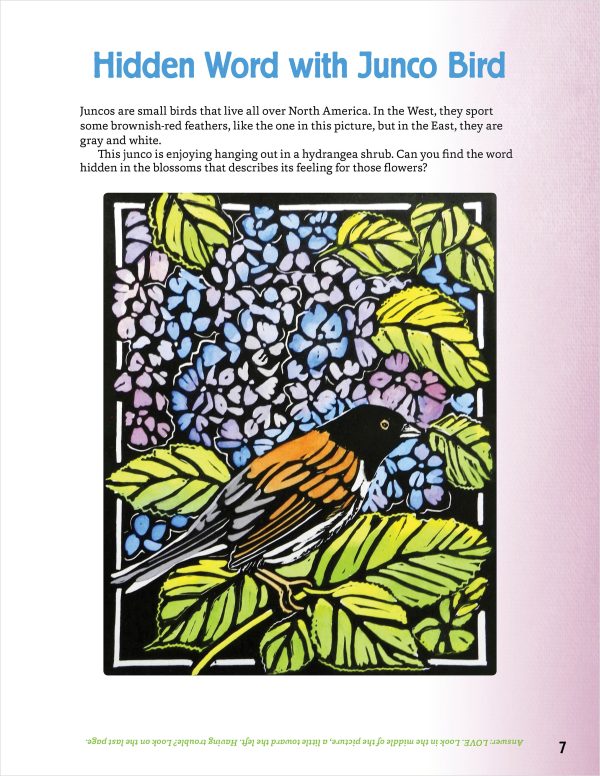 Molly Hashimoto's Art & Nature Activity Book - Image 5