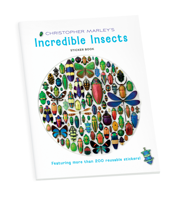 Christopher Marley's Incredible Insects Sticker Book