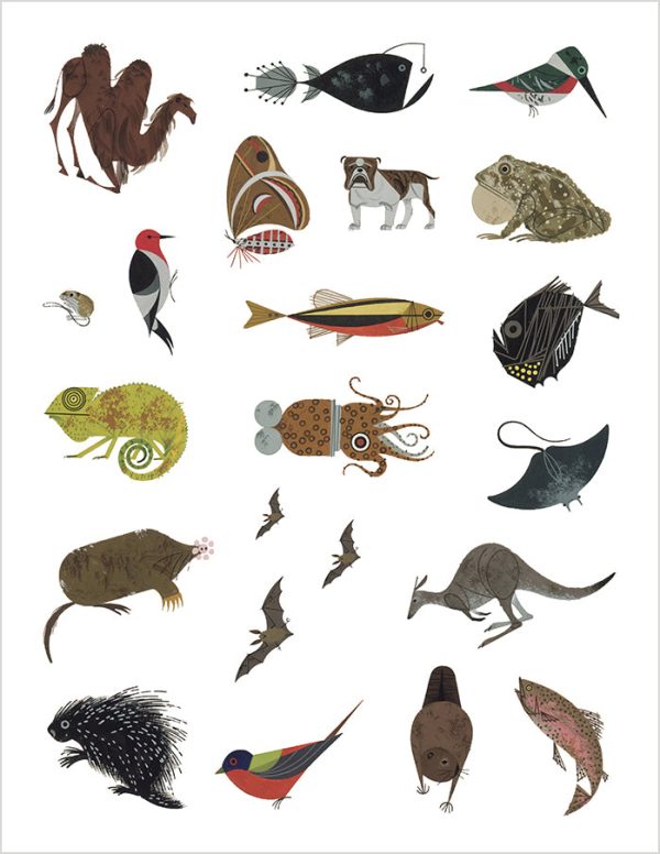 Charley Harper: Tree of Life Sticker Book - Image 4