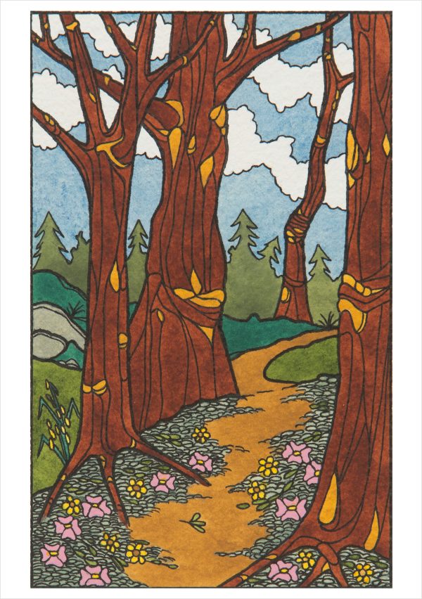 CJ Hurley: The Lure of the Land Boxed Notecard Assortment - Image 4