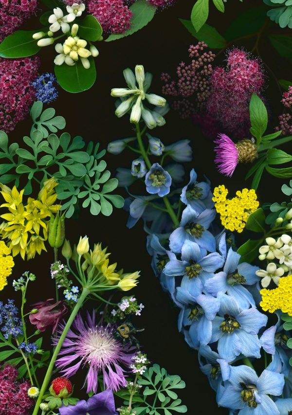 Deb Stoner: Flora Boxed Notecard Assortment - Image 3