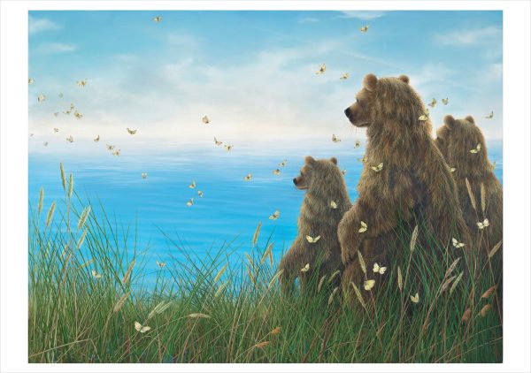 Robert Bissell: Spirit Boxed Notecard Assortment - Image 3