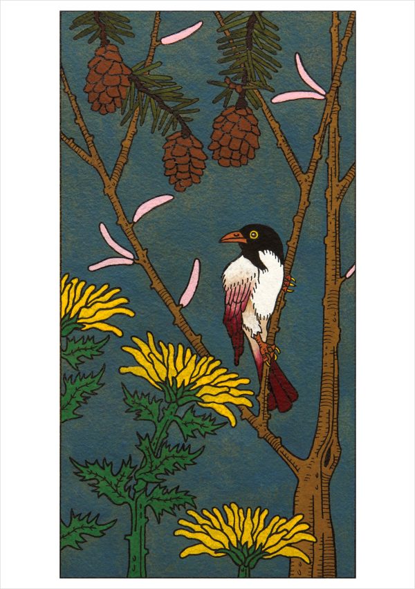 CJ Hurley: Birds Boxed Notecard Assortment - Image 2