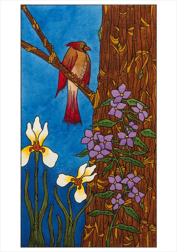 CJ Hurley: Birds Boxed Notecard Assortment - Image 3