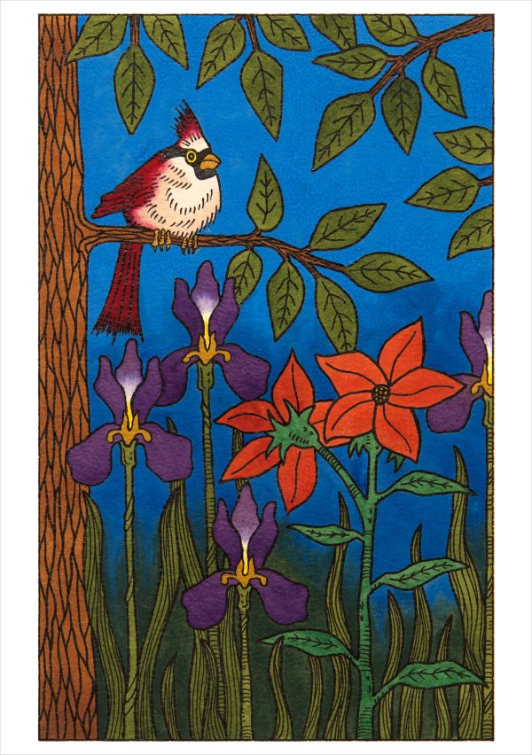 CJ Hurley: Birds Boxed Notecard Assortment - Image 4