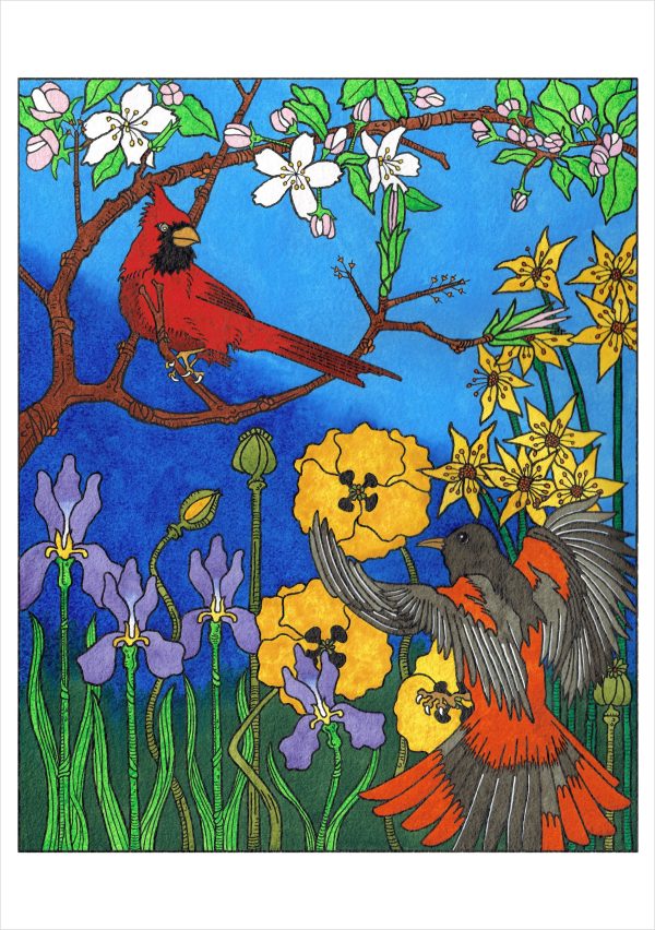CJ Hurley: Birds Boxed Notecard Assortment - Image 5