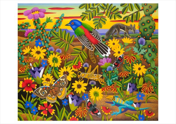 Billy Hassell: In the Wild Boxed Notecard Assortment - Image 2