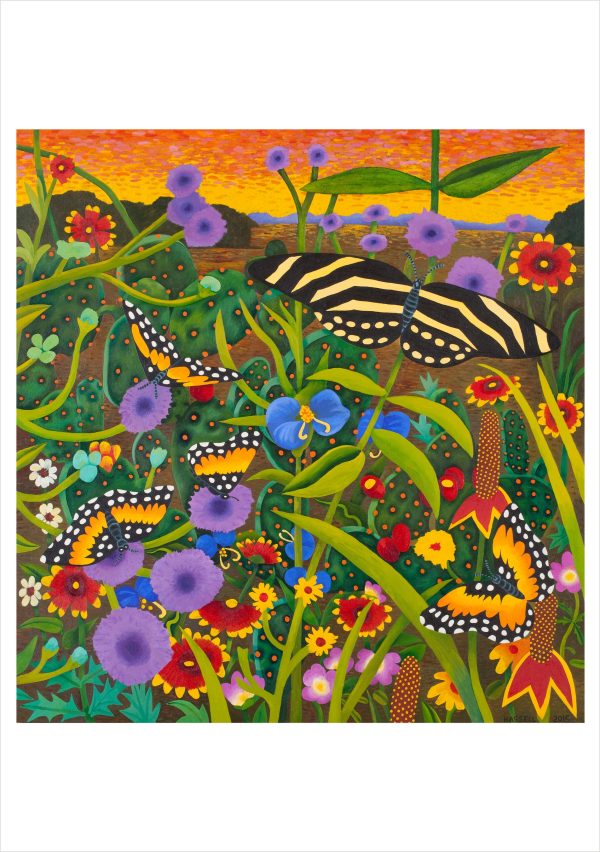 Billy Hassell: In the Wild Boxed Notecard Assortment - Image 5