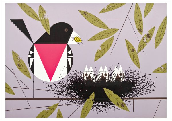 Charley Harper: Nesting Instinct Boxed Notecard Assortment - Image 4