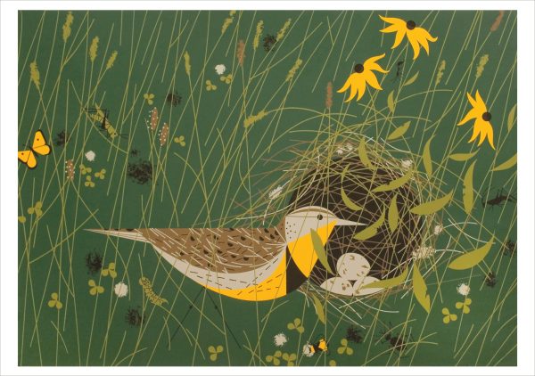 Charley Harper: Nesting Instinct Boxed Notecard Assortment - Image 5