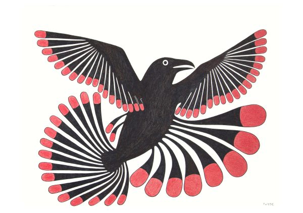 Kenojuak Ashevak: Inuit Art Drawings Boxed Notecard Assortment - Image 3