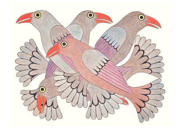Kenojuak Ashevak: Inuit Art Drawings Boxed Notecard Assortment - Image 4
