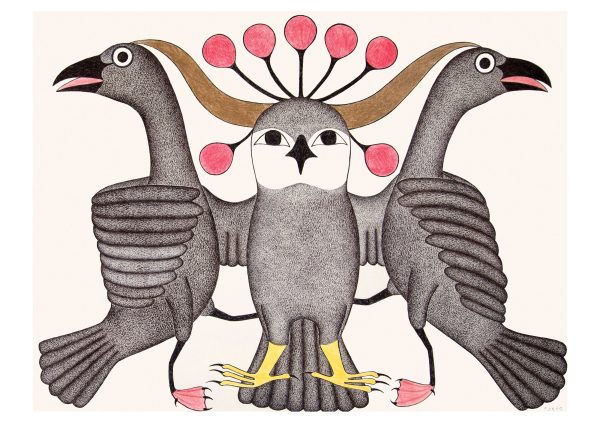 Kenojuak Ashevak: Inuit Art Drawings Boxed Notecard Assortment - Image 5