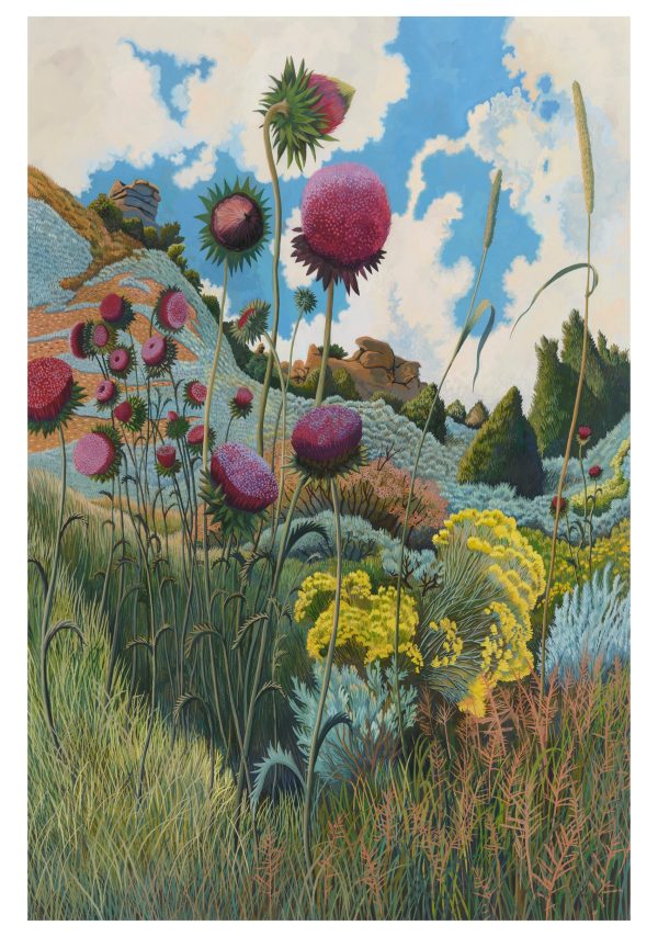 Phyllis Shafer Boxed Notecard Assortment - Image 3