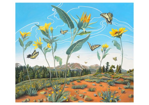 Phyllis Shafer Boxed Notecard Assortment - Image 4