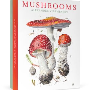 Mushrooms: Alexander Viazmensky Boxed Notecard Assortment