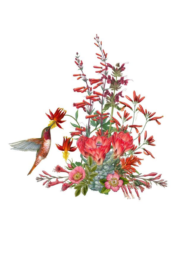 Erin E. Hunter: Pollinators Boxed Notecard Assortment - Image 4