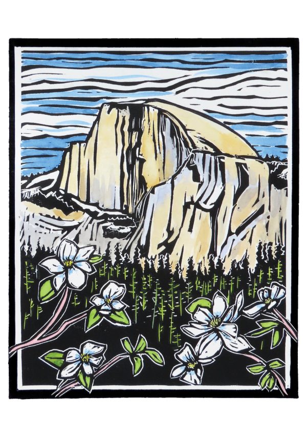 Molly Hashimoto: Wildflowers Boxed Notecard Assortment - Image 3