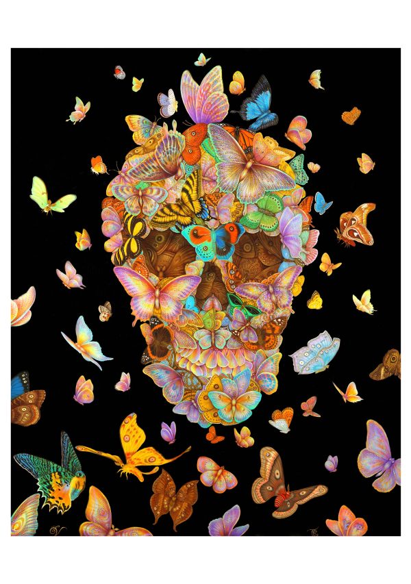 Day of the Dead: Tino Rodriguez & Virgo Paraiso Boxed Notecard Assortment - Image 3