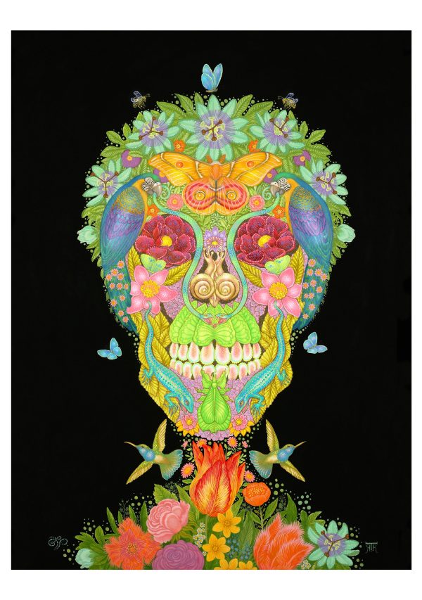 Day of the Dead: Tino Rodriguez & Virgo Paraiso Boxed Notecard Assortment - Image 5