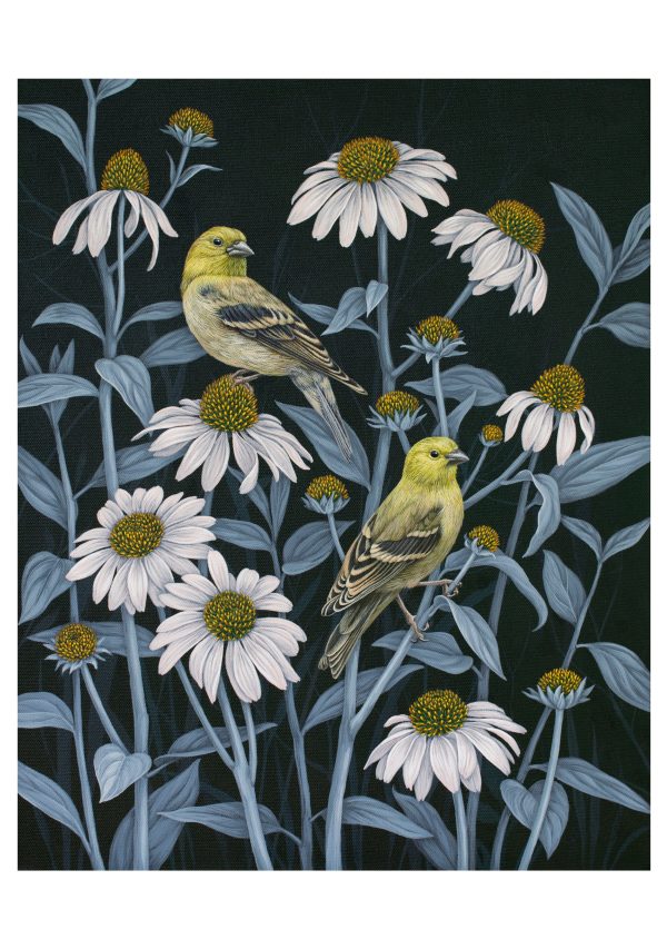 Vasilisa Romanenko: Birds of a Feather Boxed Notecard Assortment - Image 2