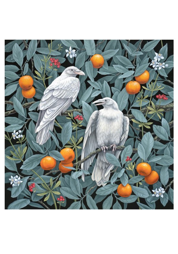 Vasilisa Romanenko: Birds of a Feather Boxed Notecard Assortment - Image 3