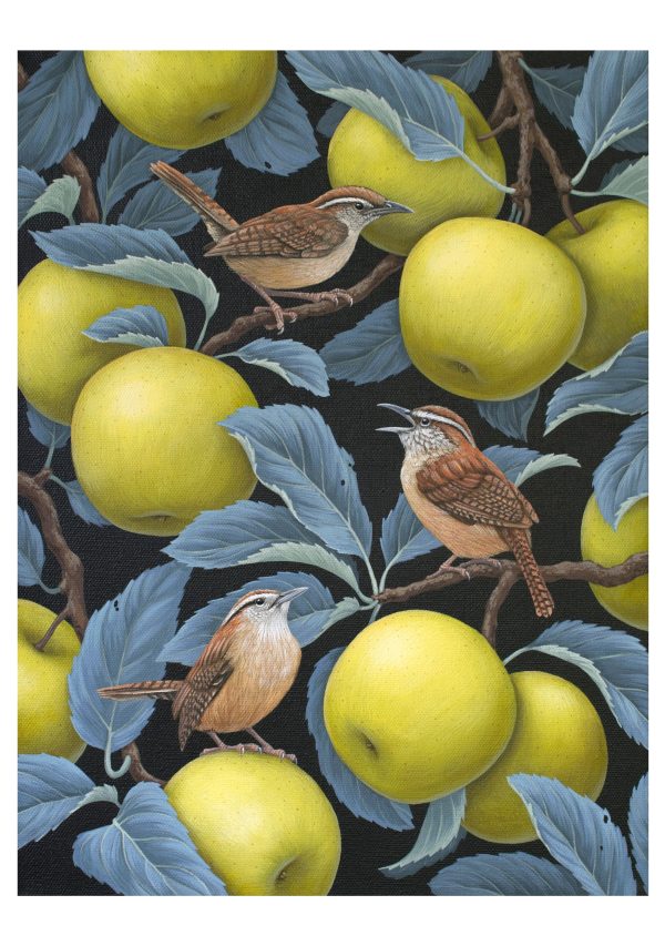 Vasilisa Romanenko: Birds of a Feather Boxed Notecard Assortment - Image 5