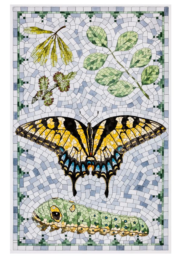 David Cohen: Butterflies Boxed Notecard Assortment - Image 2