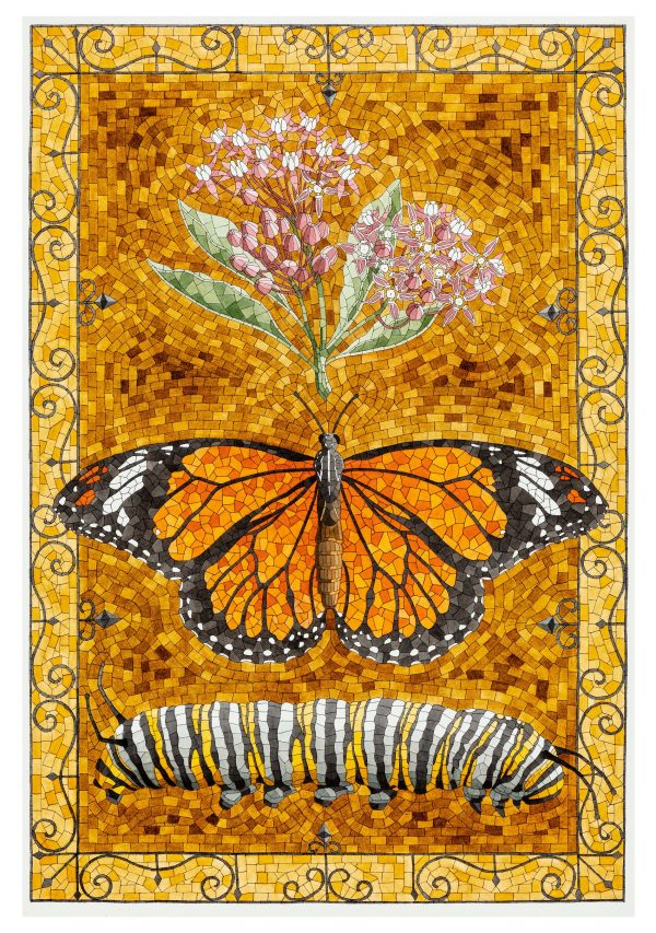 David Cohen: Butterflies Boxed Notecard Assortment - Image 4