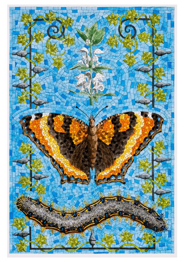 David Cohen: Butterflies Boxed Notecard Assortment - Image 5