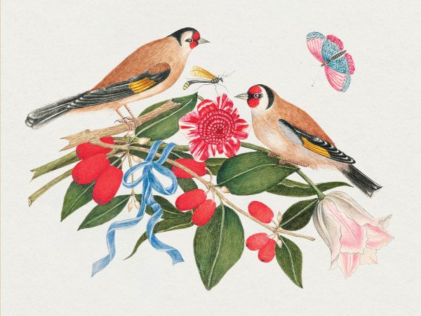 Flowers. Birds & Butterflies Celebrations Boxed Notecards - Image 6