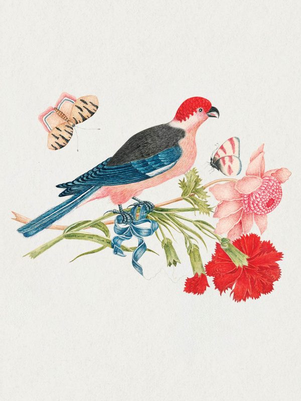 Flowers. Birds & Butterflies Celebrations Boxed Notecards - Image 7