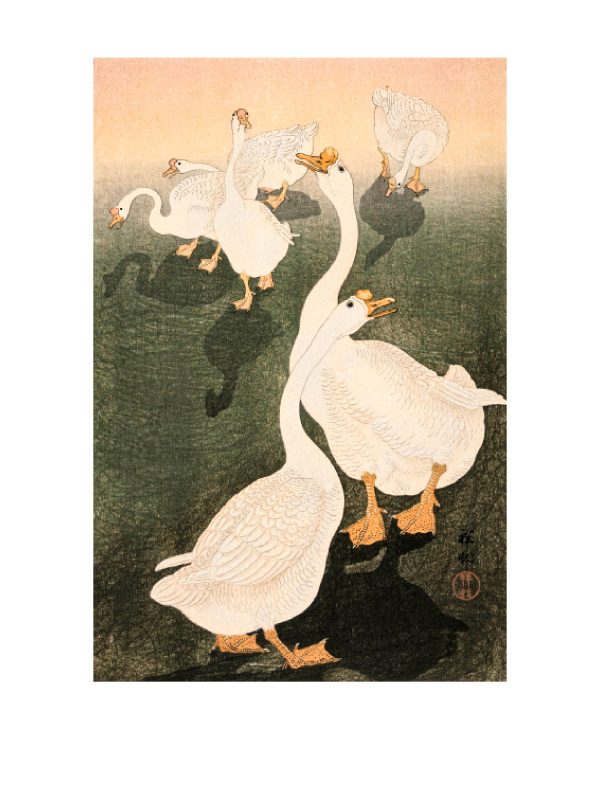 Japanese Farm Friends Celebrations Boxed Notecards - Image 4