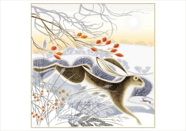Jenny Tylden-Wright: Hips. Haws and Hares Holiday Cards - Image 2