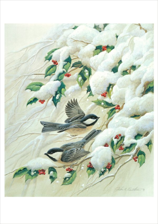 John Ruthven: Black Capped Chickadees Holiday Cards - Image 2