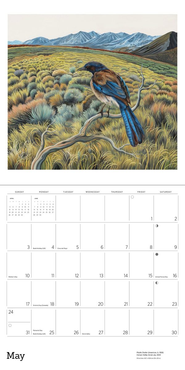 Phyllis Shafer: Nature Divine 2026 Wall Calendar - Image 7