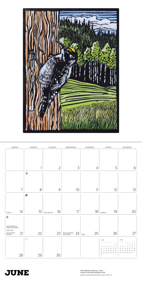 Molly Hashimoto: Birds 2026 Wall Calendar - Image 7