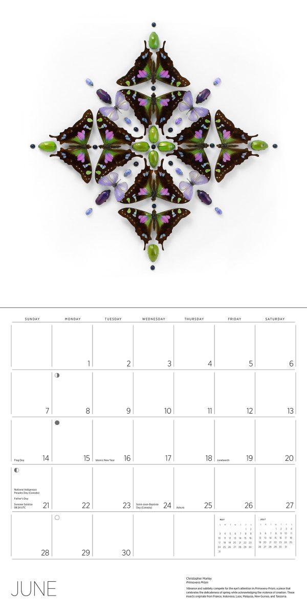 Exquisite Creatures: The Art of Christopher Marley 2026 Wall Calendar - Image 5