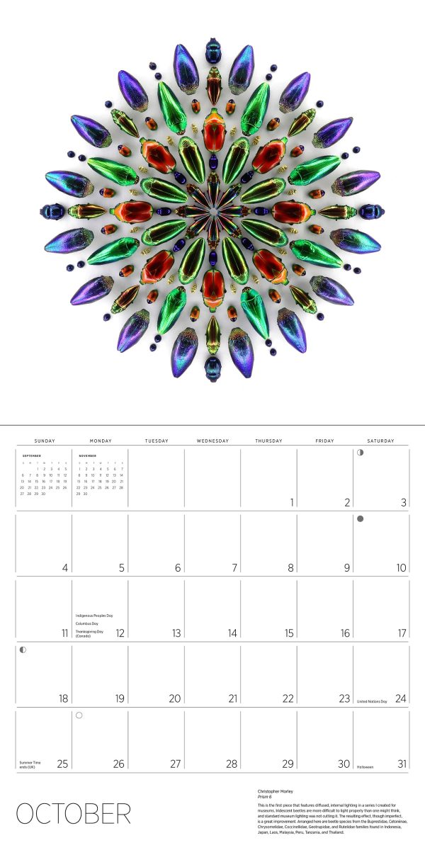 Exquisite Creatures: The Art of Christopher Marley 2026 Wall Calendar - Image 7
