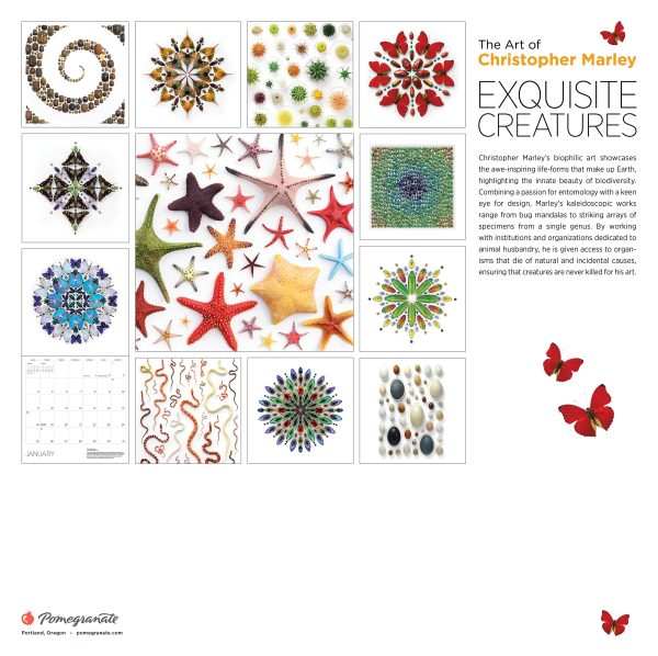 Exquisite Creatures: The Art of Christopher Marley 2026 Wall Calendar - Image 8
