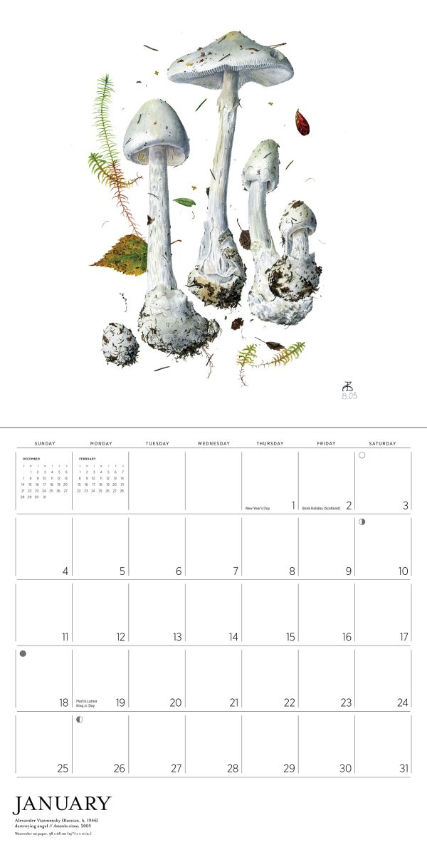 Mushrooms: Alexander Viazmensky 2026 Wall Calendar - Image 3