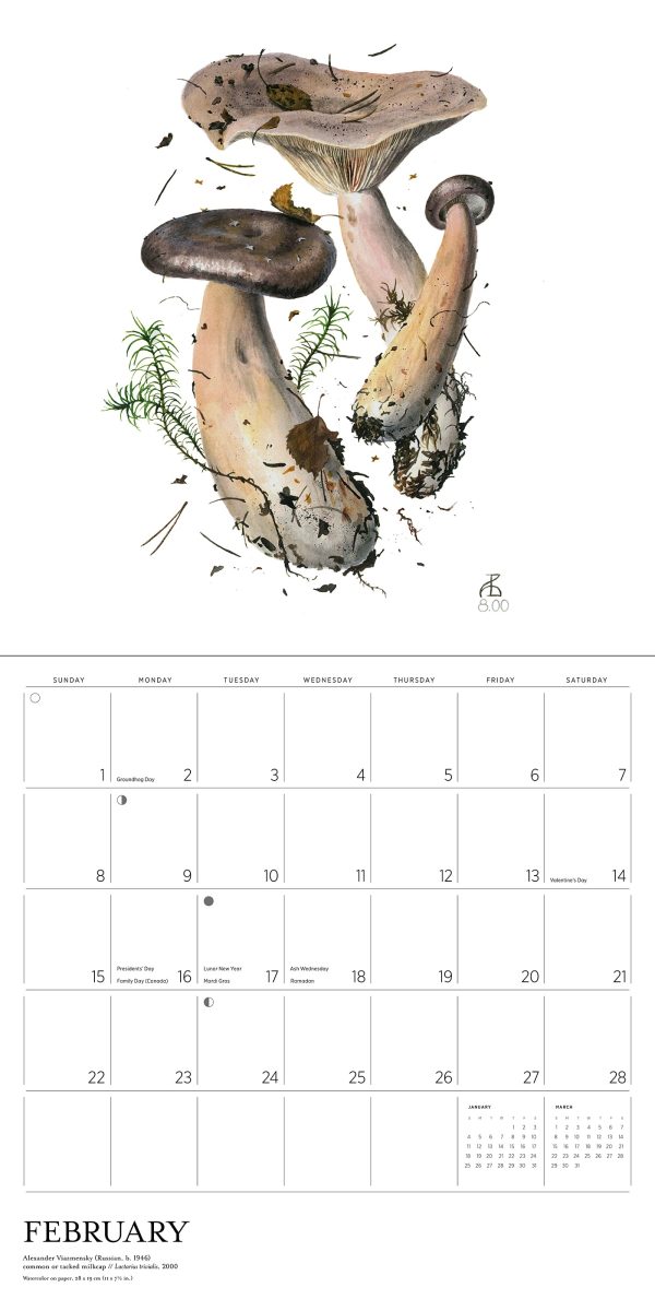 Mushrooms: Alexander Viazmensky 2026 Wall Calendar - Image 4
