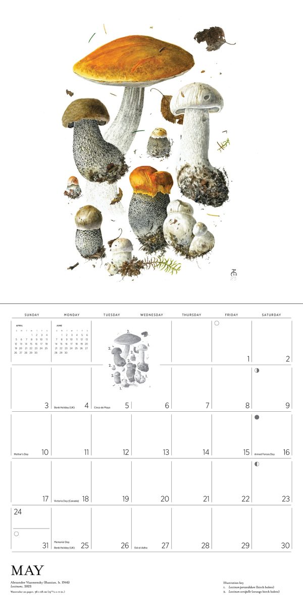 Mushrooms: Alexander Viazmensky 2026 Wall Calendar - Image 5