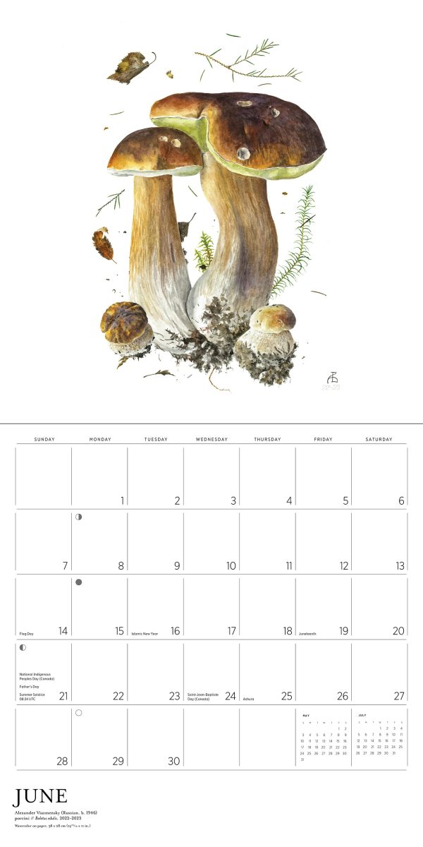 Mushrooms: Alexander Viazmensky 2026 Wall Calendar - Image 6
