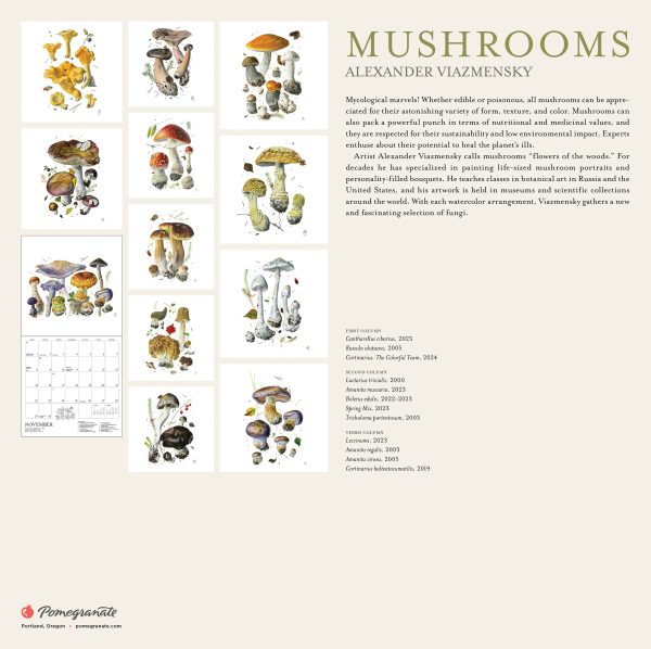 Mushrooms: Alexander Viazmensky 2026 Wall Calendar - Image 7