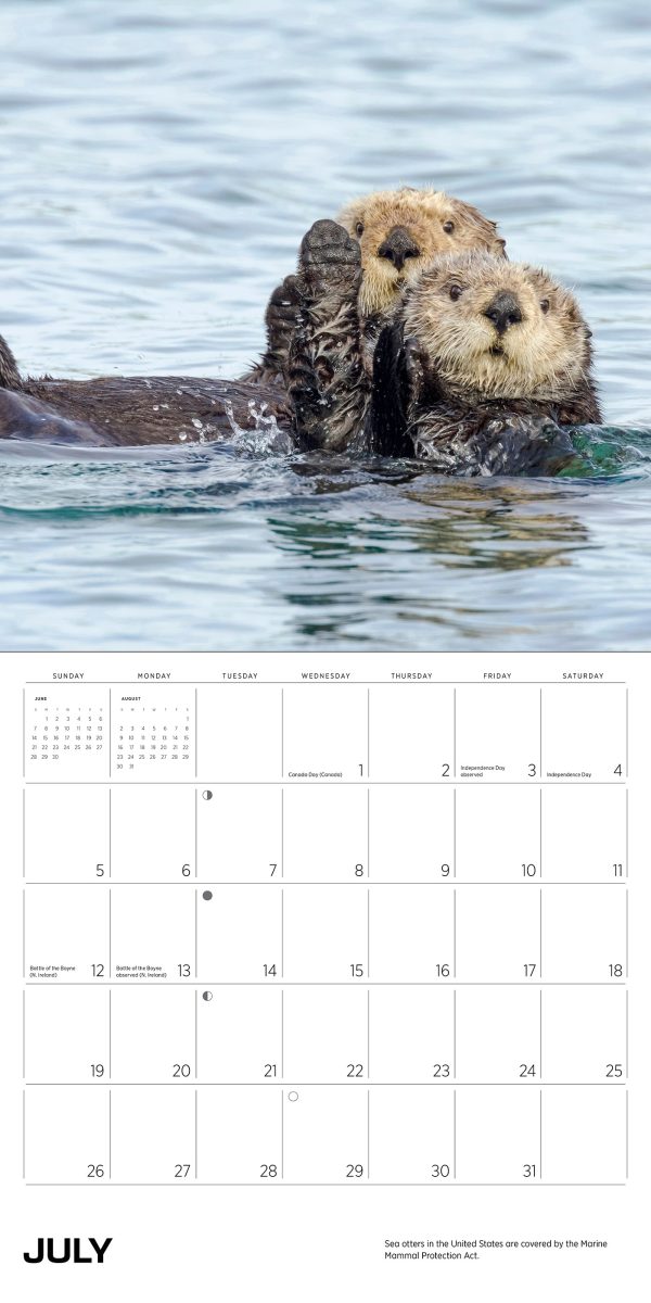 Sea Otters: Photographs by Tom and Pat Leeson 2026 Wall Calendar - Image 3