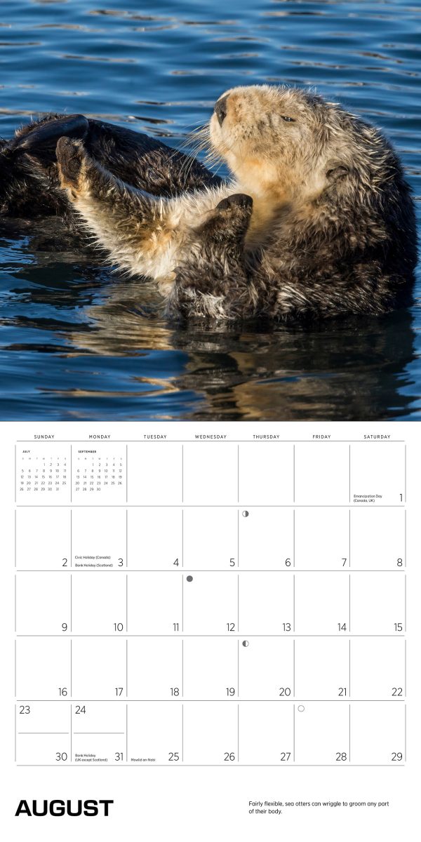 Sea Otters: Photographs by Tom and Pat Leeson 2026 Wall Calendar - Image 4