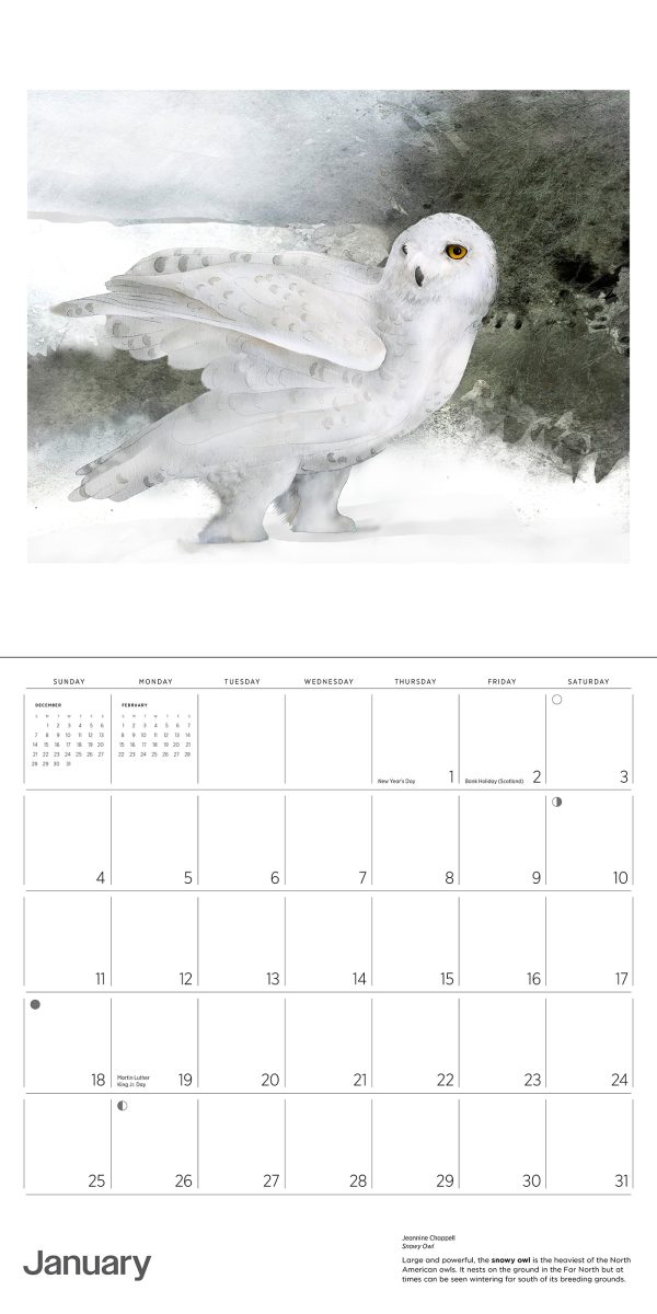 Owls: Jeannine Chappell 2026 Wall Calendar - Image 3
