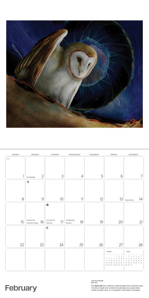 Owls: Jeannine Chappell 2026 Wall Calendar - Image 4
